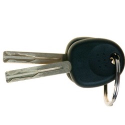 Lacoste TX Replacement Vehicle Keys